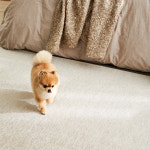 펫토 코코 러그 카페트 미끄럼방지 강아지 고양이 매트 다용도형(75 x 200cm) : 펫토