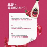 포모나 체리 톡톡베이스 1.2kg 9개(1박스) : 유니 공간