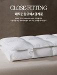 수정가방 헝가리 수입 패딩 이불 95 흰구스 이불에 가을 겨울 이불 5성급 호텔 이불솜 : 색바꿈
