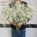 천연 꽃다발 신선한 건조 보존 꽃 안개꽃 파니큘라타 영원한 호흡 부케 발렌타인 데이 선물 웨딩 홈 장식 : 디제이상점