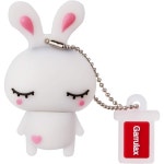 휴대용 노트북 선물용 8GB16GB32GB 2.0 실리콘 귀여운 동물 메모리 스틱 날짜 저장 펜드라이브 엄지 드라이브32GB 화이트 래빗 : 모스트식스