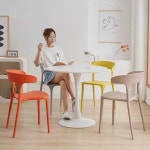 동백꽃 우각 의자 등받이 가정용 가벼운 럭셔리 모던 심플 거실 식탁 의자 플라스틱 망홍 책상 캐주얼 북유럽 : 명인직구