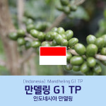 [인도네시아] 만델링 G1 TP 세웅지씨 산지 직수입 생두 1kg : 세웅gc
