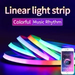네온스트립 12V/24v 매직 컬러 LED 라이트 스트립 RGB 플래시 변경 ws2812b 네온 실리카 젤 소프트 램프 유연한 실리콘 : 후후컴파니