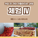 [체험 Ⅳ] (4시간내외) 커피 농장체험 프로그램 : 미사동 커피공동체 협동조합