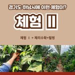 [체험Ⅱ] (3시간내외) 커피 농장체험 프로그램 : 미사동 커피공동체 협동조합
