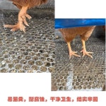 닭장 사육장 오리 케이지 대형 조립식 새장 조류 철망 : 직구나랑해