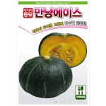 만냥 에이스 단호박 20립 채소 종자 (아시아종묘) : 씨앗나래