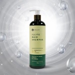 보아스 닥터라이트 일라이트 약산성 샴푸 500g : 생활의멋