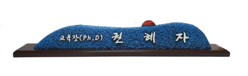 나무명패 은행나무 해오름 블루(가로 500-750 x120mm, 크기조정가능) : 일탄아트
