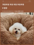 강아지집 가을 겨울 보온 대중소형견 푸들 겨울용 깊은 수면 고양이집 소파베드 애견용품 : 항교화리