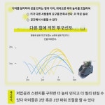 테 포구기  송구기 1인용 캐치넷 스윙 연습기 멀티볼 훈련 전용 서브머신 : 발색리론