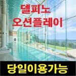 델피노 오션플레이 종일이용권 : 티켓박스