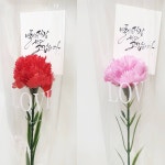 카네이션꽃다발 한송이 어버이날 스승의날 꽃한송이 꽃다발 : 영하우스