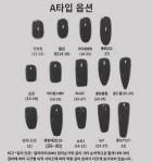 고급스러운 가을 겨울 네일  왕홍 블렌딩 화이트 임부 완제품 가짜 손톱 핸드메이드 네일 : 다보정돌