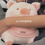 룰루 돼지 뽀글이 귀여운 루루 돼지 침대 쿠션 힐링 돼지 인형 여자친구 생일 선물 : 바램약