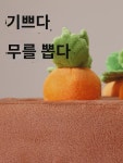 강아지 장난감 테디비 곰돌이 무 뽑기 자기재미 장난감 깨물기 익지 장난감 냄새맡기 패드 애완동물 답답함 해소 신기 : 다콩라떼
