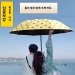 십골팔골 플러스 우산 더블 3인용 라지 사이즈 우산 검정고무 자외선 차단 자외선 차단 접이식 양산 : 라인하우스1