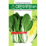CR만수무강엇갈이  500g 유기농야채 아시아종묘 텃밭 주말농장 베란다야채키우기 : 늘품씨앗