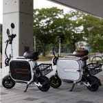 이디뚜뚜 10 듀얼모터 삼성셀 20Ah 배터리 전동 애견 강아지 반려견 스쿠터 : 바이시클로