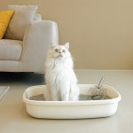 (N배송 전용) 반짝 싱글오리진 벤토나이트 9.5kg, 2개 : 반짝 BANZZAK