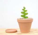 피쉬본+D11독일토분(살구)set 다육식물 독일토분 : 루시룸