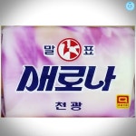 비누 세탁 새로나 고형비누 빨랫비누 고형 업소용 빨래비누 세탁비누 빨래 고형세탁비누 빨랫 230GX32개 : 리빙스윗