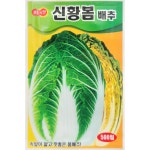 신황봄배추 500립 봄배추 배추씨 진흥종묘 : 황소농약농자재