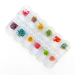 드라이플라워 압화 생화 12종 믹스 안개꽃 봄 네일재료 : 뷰티재료 네일아트