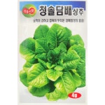청솔담배상추 4g 담배상추 상추씨 진흥종묘 : 황소농약농자재