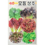 모듬상추 4g 상추씨 진흥종묘 : 황소농약농자재
