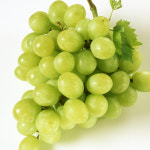 어텀크리스피 애플청포도 씨없는 청포도 : 마음공략