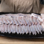 목포 병어 손질 회 횟감 자랭이 참병어  반건조생선 : 남도삼대농수산