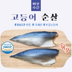 고등어살 5kg 국내산고등어 고등어필렛 고등어포 업소용고등어 : 대구해성수산마켓
