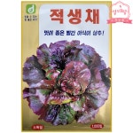 아삭이 상추 생채 씨앗 1000립 적생채 : 열매팜스토어