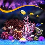 인공 산호 조경 액세서리 풍경 불가사리 장식품 수조 꾸미기 : 디레나스토어