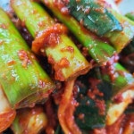 대파김치 국내산 1kg : 을수상회