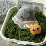 애완 반려 돌멩이 반려돌 애완돌 키우기 반려석 펫스톤 : 바론잡화점