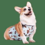 반려동물 애견김장조끼 강아지 방수 더러움 방지 커버 의상 퍼그 개 벨리밴드 코기 : 해외구매3