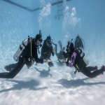 [마이다이버스] Signature Essentials 프로그램 (수영장) : 마이다이버스