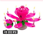 멜로디초 특이한 생일축하초 꽃초 연꽃생일초 기념일 : 모아바스켓