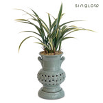 동양난 승진난 축하난 영전 취임 일향금 투각분 전국당일배송 : 싱그러브주식회사