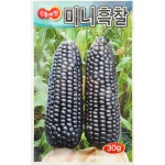 미니흑찰 30g 흑찰 옥수수 옥수수씨 씨앗 진흥종묘 : 황소농약농자재