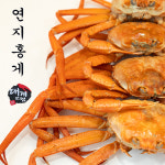 포항 구룡포 영덕 대게 붉은 홍게 철 박달 대개 자숙 시세 찜 연지 홍개 당일 배달 택배 : 대게닷컴수산