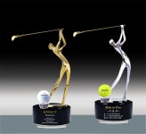 상패타운 홀인원트로피 이글패 싱글패 골프기념패 제작주문 알바트로스 HT350-10 (금) : 상패타운