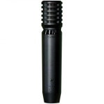 슈어 PGA81 콘덴서 마이크 카디오이드 픽업 패턴 포함 악기 PGA81XLR : shopline119