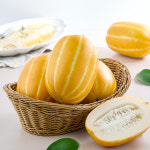 성주참외 고당도 가정용 선물용 못난이 참외 5kg : 고 씨네농장