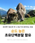 MBP 엠비피 유단백추출물 99% 헬스히어로 : 헬스히어로