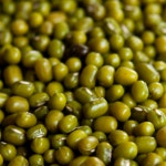 24년산 국산 녹두 1kg : 땅에서 올라온 콩이야기