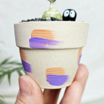 와이키키농장 오니토갈룸 토르투오섬 미니 화분 아프리카 코덱스 식물 희귀 : 와이키키 농장